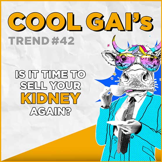Cool Gai #42