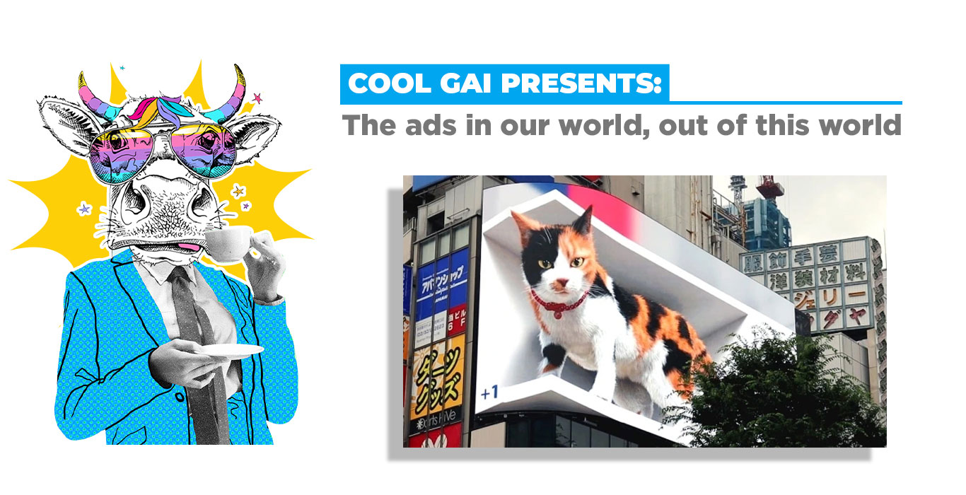 Cool Gai 43
