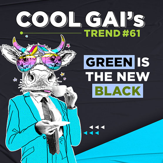 Cool Gai #61
