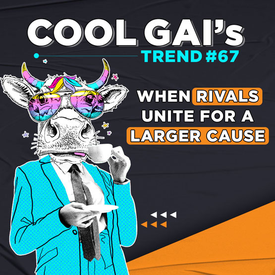 Cool Gai #67