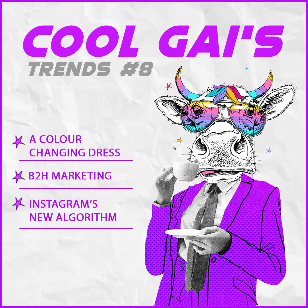 Cool Gai #8
