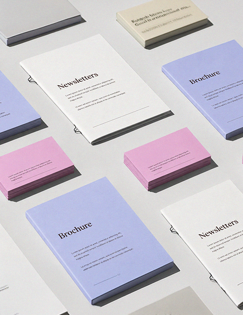 Brochure and Newsletter