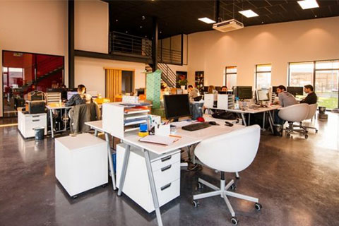 Armes Maini onboards Ants Digital as creative and digital marketing agency